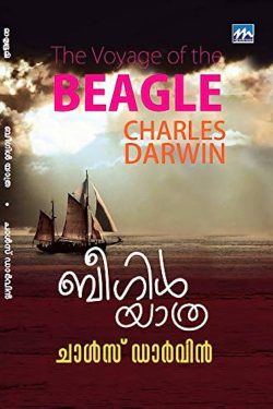 Beagle Yat...